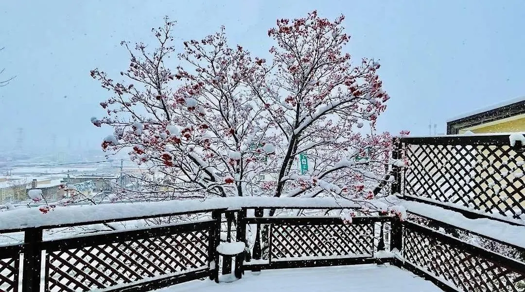 Sapporo Luxury Log House 5Brm Max 18Ppl 4 Free Parking Villa