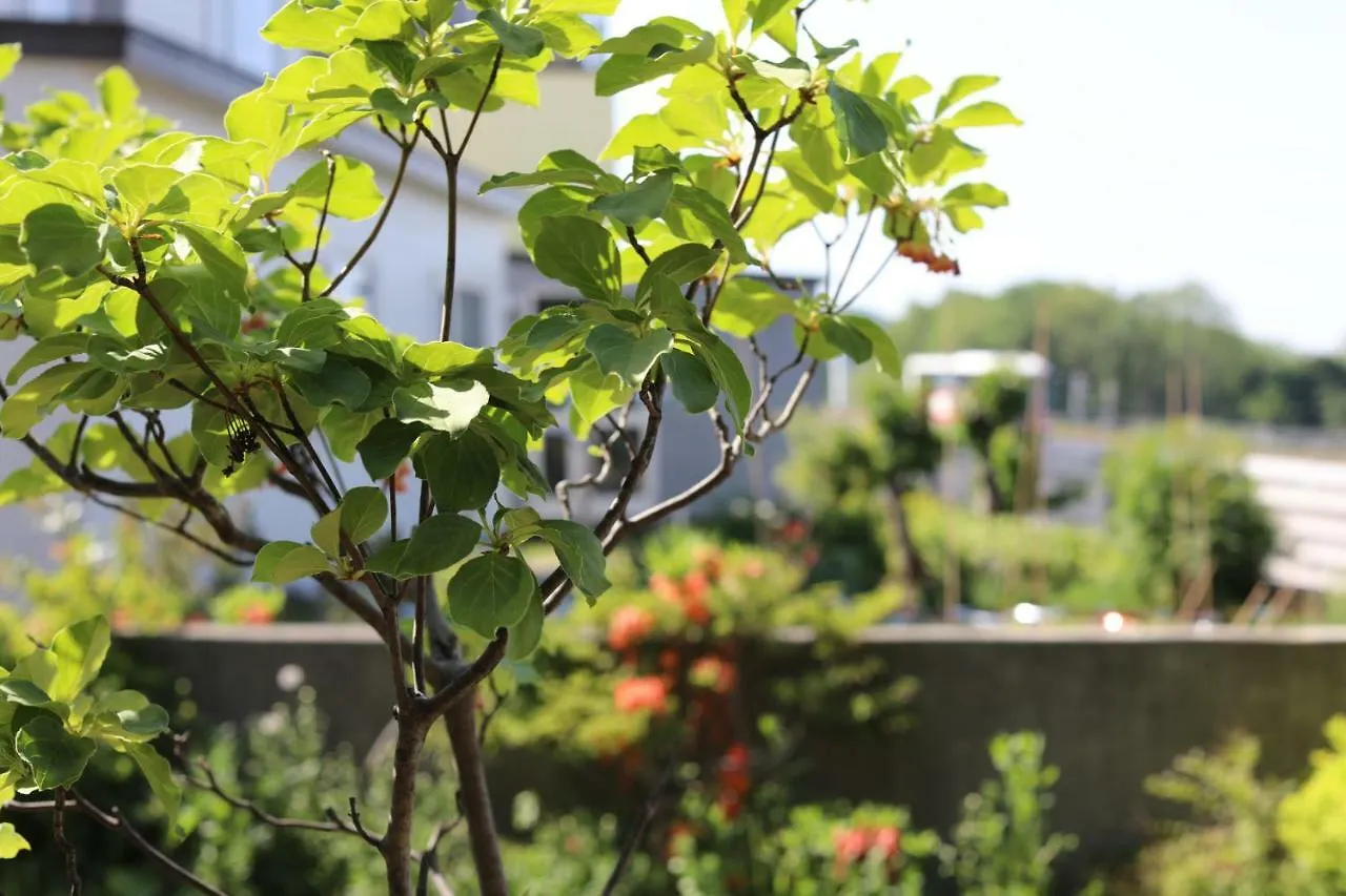 Sapporo Luxury Log House 5Brm Max 18Ppl 4 Free Parking Villa